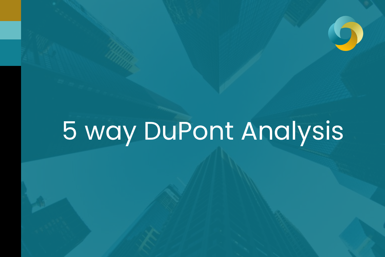 5-way DuPont Analysis